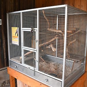 paraZOO - Red squirrel cage