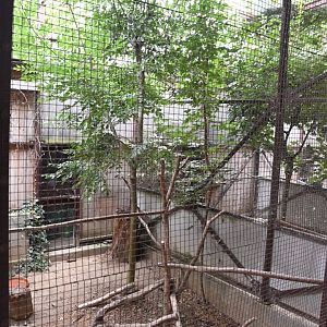 paraZOO - Eurasian-eagle owl exhibit