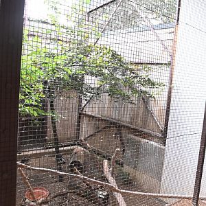 paraZOO - mixed exhibit