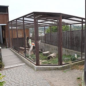 paraZOO - red fox exhibit