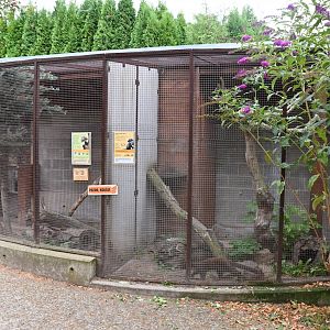 paraZOO - marten exhibit