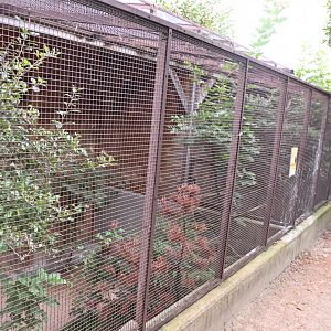 paraZOO - row of aviaries