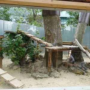 Honey badger / Ratel outdoor enclosure