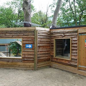 Honey badger / Ratel enclosure