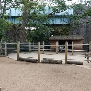 Grant's zebra enclosure