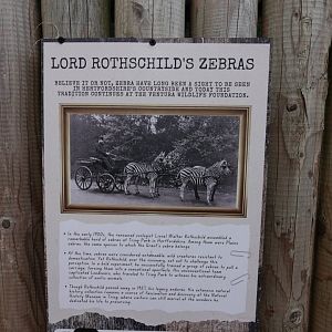 Zebra signage