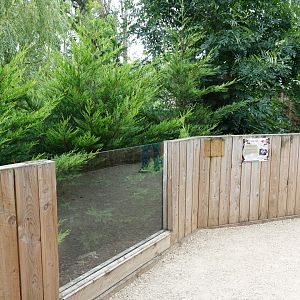 Raccoon dog enclosure