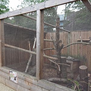 Asian palm civet enclosure