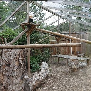 Red panda enclosure