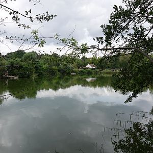 View across fishery lake