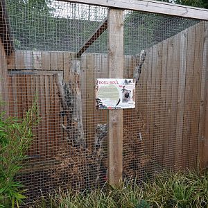 Roul-roul partridge aviary
