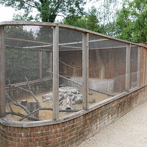 Burrowing owl aviary