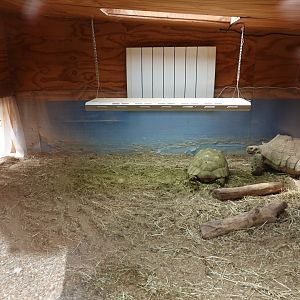 African spurred tortoise indoor enclosure