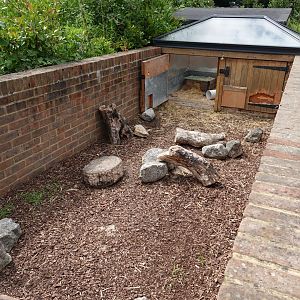 Three-banded armadillo enclosure