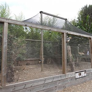Crowned crane and parma wallaby enclosure