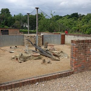 Meerkat enclosure