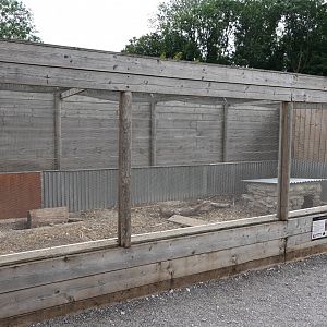 Crested porcupine enclosure