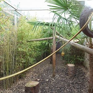 Fossa enclosure