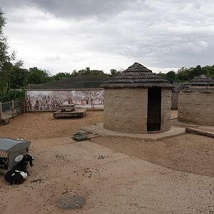 Goat enclosure