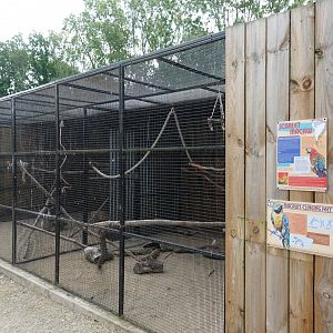 Macaw aviary