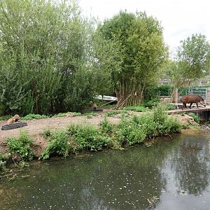 Brazilian tapir, mara and caybara enclosure