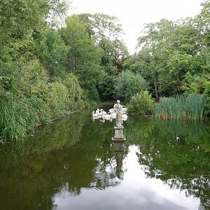 Great white pelican enclosure