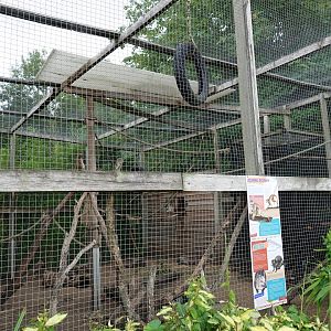 Cuban hutia and squirrel monkey enclosure