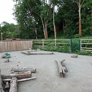 Ostrich enclosure