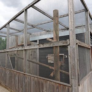 Binturong enclosure