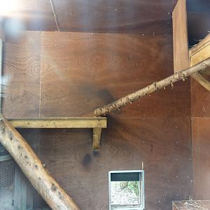 Fossa indoor enclosure