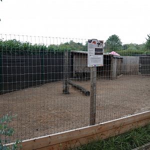Emu enclosure