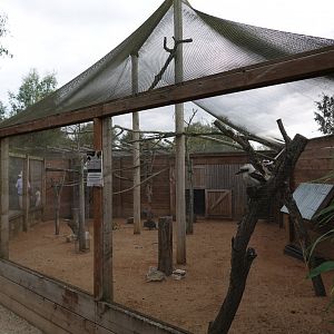 Australian aviary