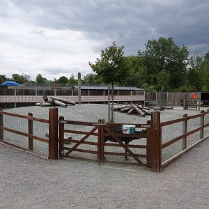 Reindeer and alpaca enclosure