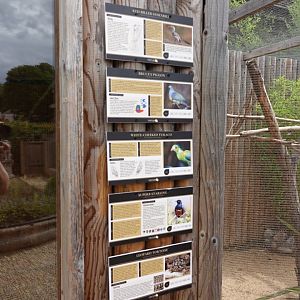 African aviary species signage