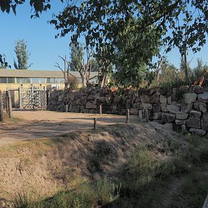 Rock wall separating Asian elephant paddocks, 2025-08-24