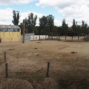 Asian elephant paddocks (Two of three), 2025-08-24