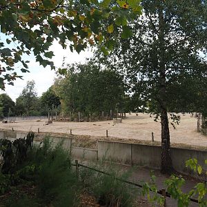 Asian elephant paddock (One of three), 2025-08-24