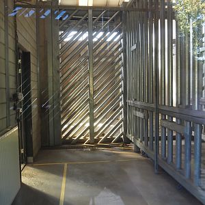 Extension of Asian elephant house - Bull stable, 2025-08-24