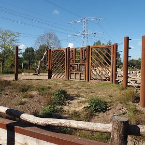 Asian elephant training wall, 2025-08-24