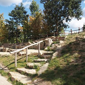 Asian elephant presentation seating area, 2025-08-24