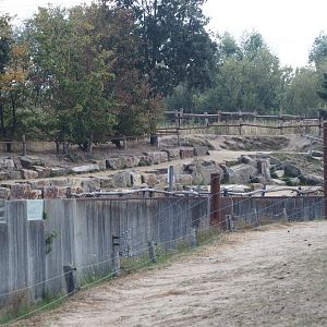 Asian elephant presentation seating area, 2025-08-24