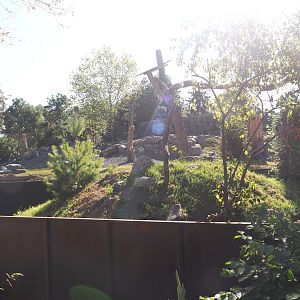 New main red panda exhibit, 2025-08-24