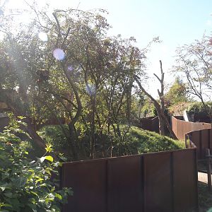 New main red panda exhibit, 2025-08-24