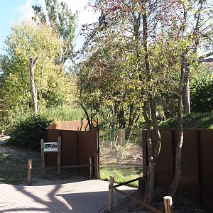 New main red panda exhibit, 2025-08-24