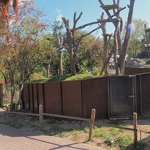 New main red panda exhibit, 2025-08-24