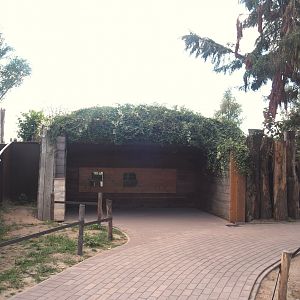 Viewing area for red panda den, 2025-08-24