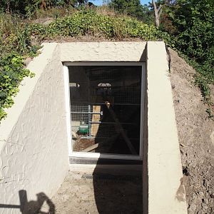 Red panda den, 2025-08-24