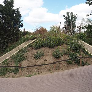Red panda den structure, 2025-08-24