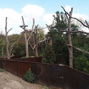 New red panda exhibits (Main exhibit on the left, secondary exhibit on the right), 2025-08-24