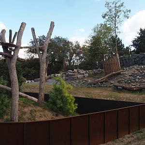 New secondary red panda exhibit and new golden takin exhibit, 2025-08-24